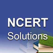 Class 10 NCERT Solutions Graphic